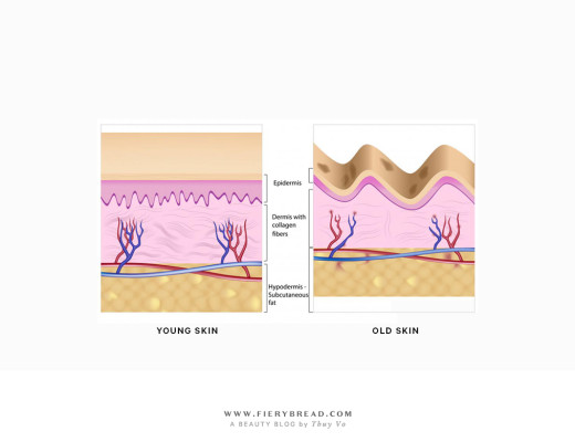 Fierybread by Thuy Vo - Collagen