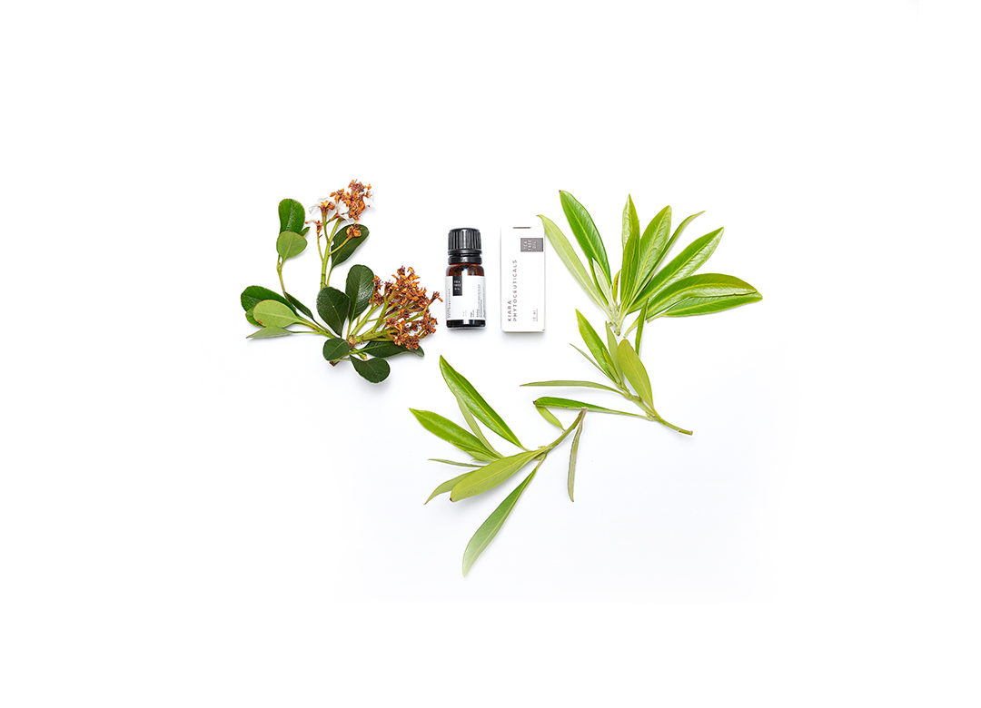 Fierybread - Review Kiara Phytoceuticals Tea Tree Oil